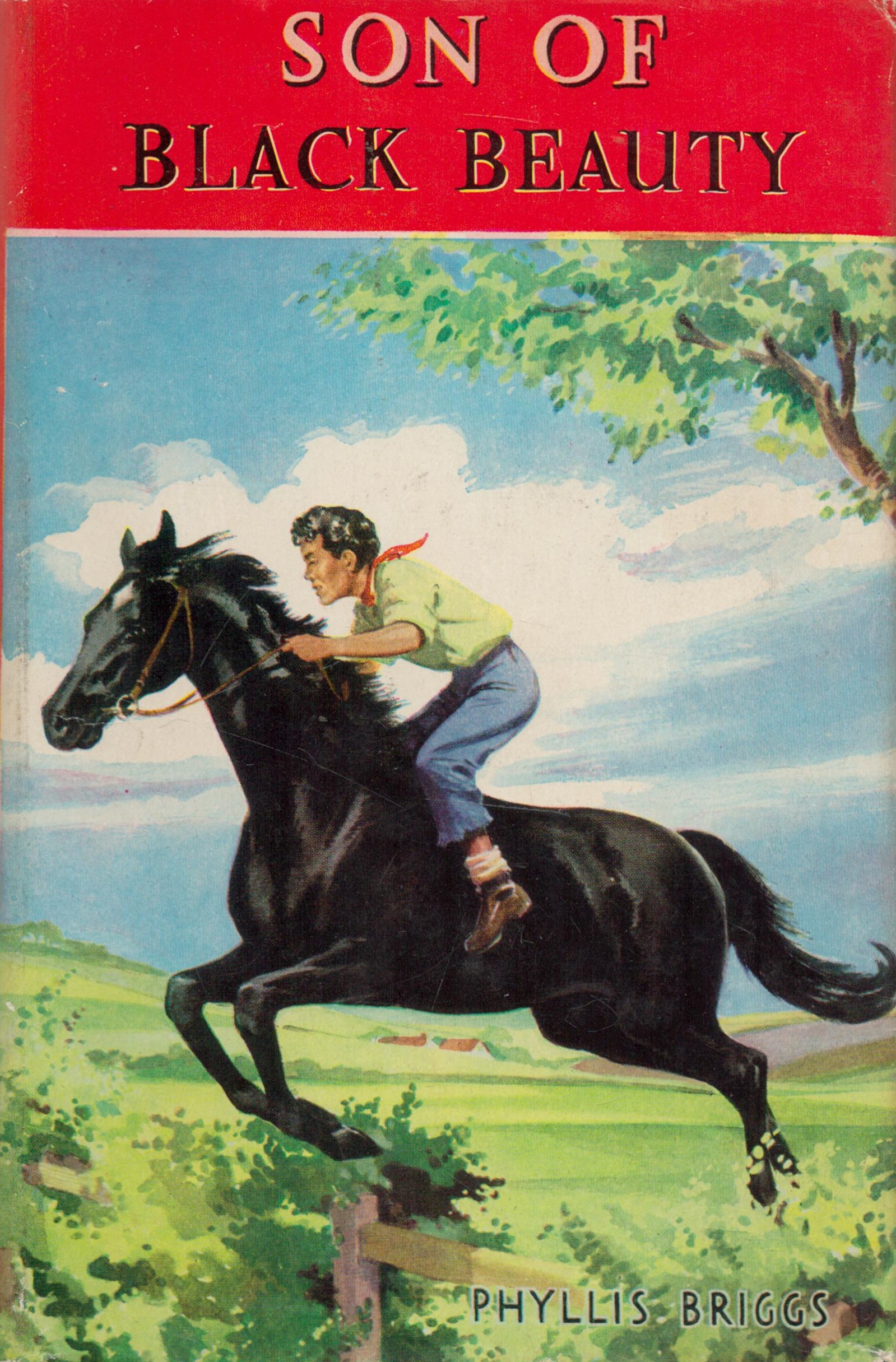 Son of Black Beauty by Phillis Briggs date and edition unknown Hardback Book with 246 pages