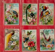 Veritable Extrait De Viande Liebig, Collection of 6 Early Advertising Cards, Featuring Exotic Birds,