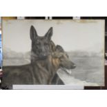 An early 20th century lithograph of two German Shepherd dogs
