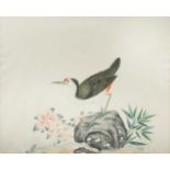 Chinese Company School, Paintings of Birds, 19th century,