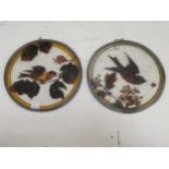 A pair of stained glass roundels, 21.5cm (2)Condition report: Fading and slight rubbing to the paint