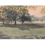 Phil Greenwood, Greenshade, signed (lower right), numbered 98/150, etching and aquatint, 45 x 52.