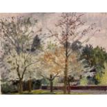Jasper Rose UCSC (British 1930-2019)Trees in Sydney Gardens, Bath, oil on board, 20 x 25.5cm