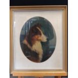 Benedict A. Hyland (British, 19th century)Portrait of a Border Colliesigned and dated 'BA Hyland