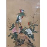 Four Chinese prints of birds, one depecting a pheasant, two depicting sparrows, and another, 37 x