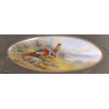 A small framed Royal Worcester oval painted with pheasants by James Stinton, 3 x 9cm