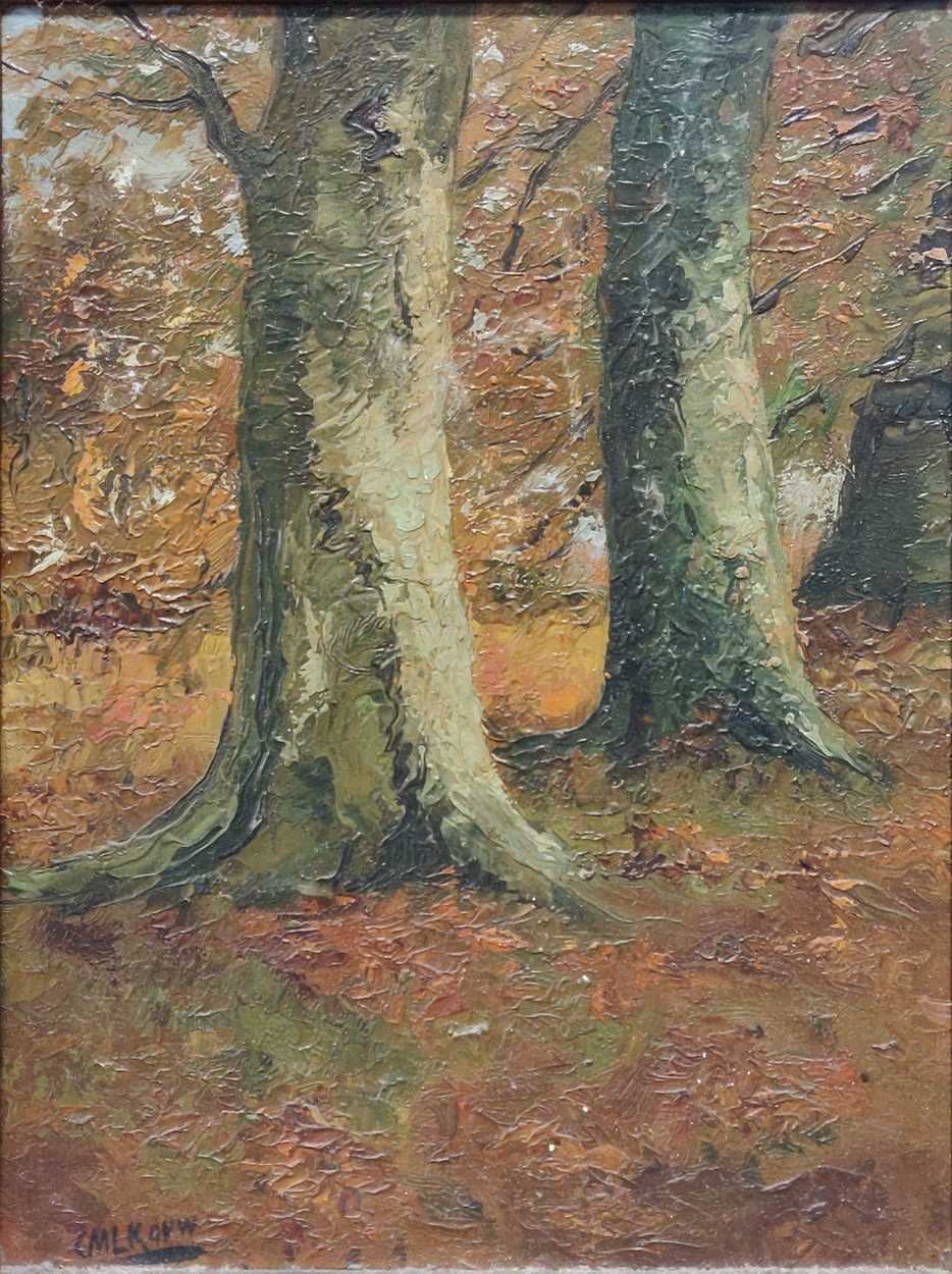 20th century school, Tree trunks in a woodland, oil on board, signed to the bottom left 'CMLKAVW';