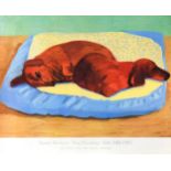 David Hockney OM, CH, RA (British 1937-)Dog Painting 43offset lithographic exhibition poster printed