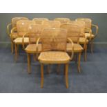 A set 10 of bent wood and cane-work dining armchairs , stamped LIGNA, made in Czechoslovakia (10)
