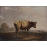 English School, 19th centuryA bull in a landscapeoil on panel 21 x 26cm