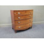 A George III mahogany and walnut cross-banded bowfront chest of drawers, with oval embossed brass