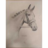 Three prints of horses heads by C. F. Sitzler, unframed (3)