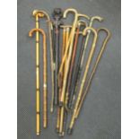 A large collection of various walking sticks