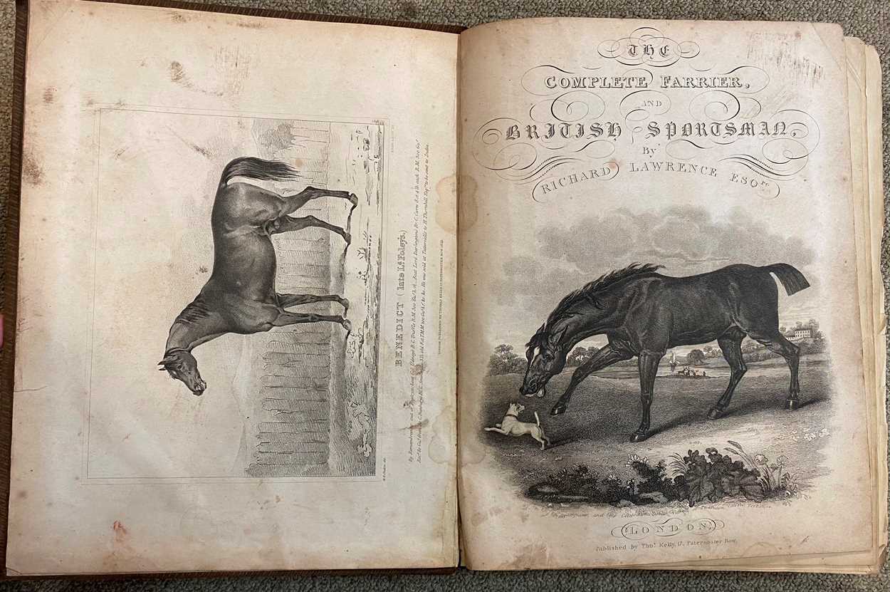 Equine. PERCIVALL (W) The Anatomy of the Horse, no date, 8vo, cloth; MORTON (W) A Manual of - Bild 3 aus 11