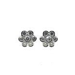 A pair of daisy style diamond cluster ear studs,