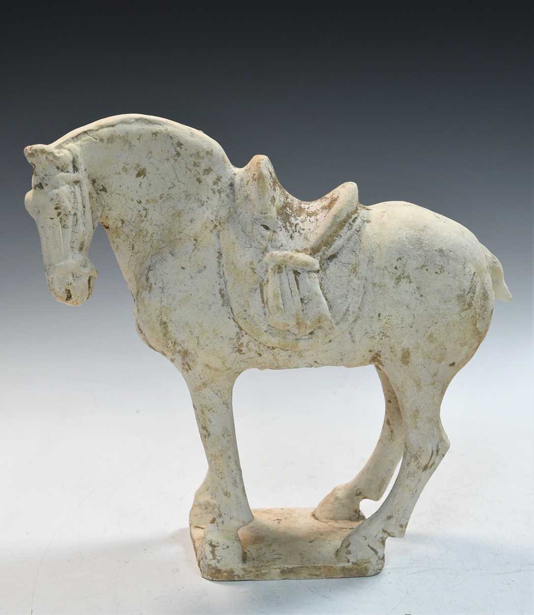 A pottery model of a standing horse, Tang Dynasty, probably late 7th to early 8th century, - Bild 4 aus 14