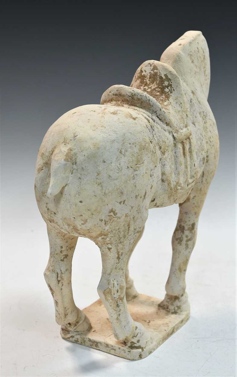 A pottery model of a standing horse, Tang Dynasty, probably late 7th to early 8th century, - Bild 6 aus 14