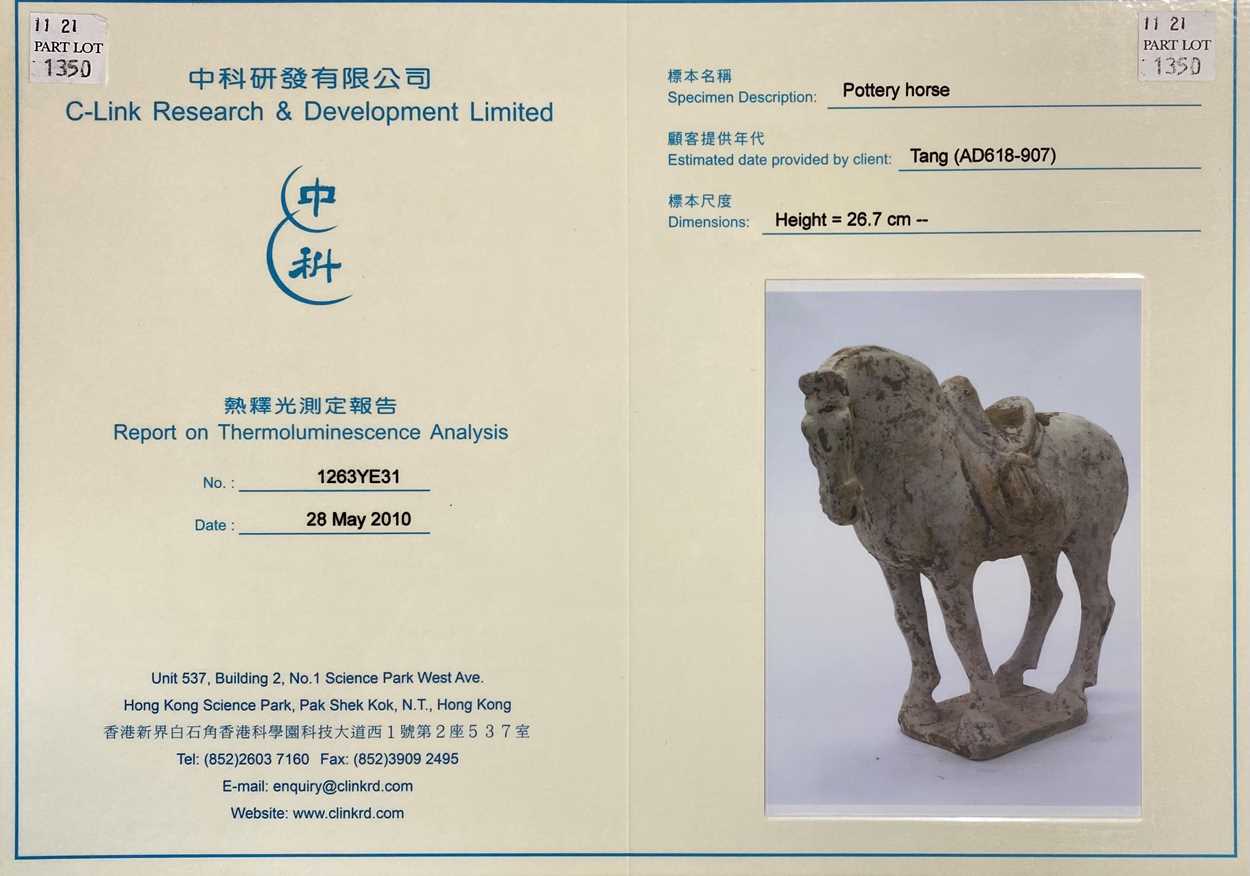 A pottery model of a standing horse, Tang Dynasty, probably late 7th to early 8th century, - Bild 12 aus 14
