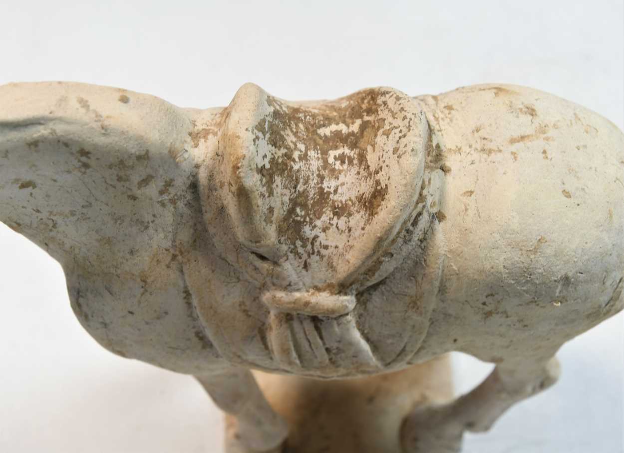 A pottery model of a standing horse, Tang Dynasty, probably late 7th to early 8th century, - Bild 3 aus 14