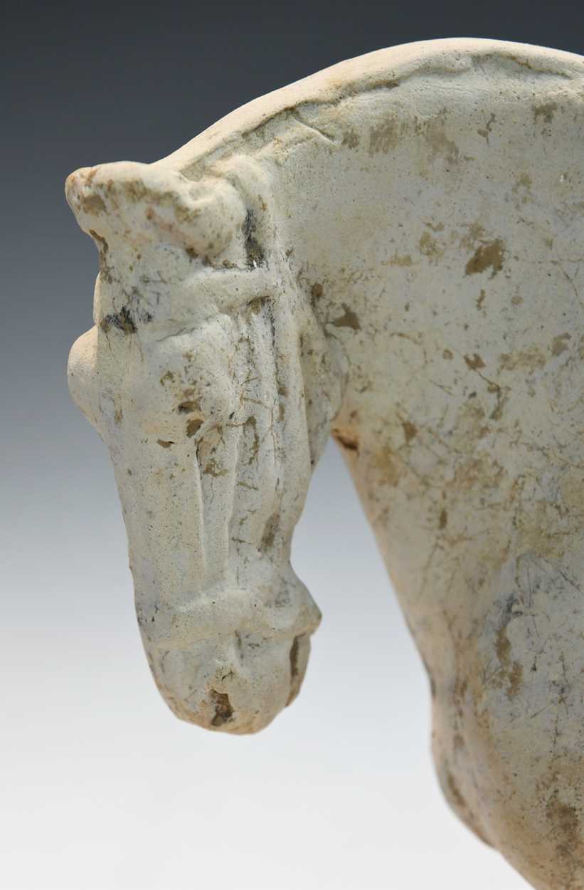 A pottery model of a standing horse, Tang Dynasty, probably late 7th to early 8th century, - Bild 2 aus 14