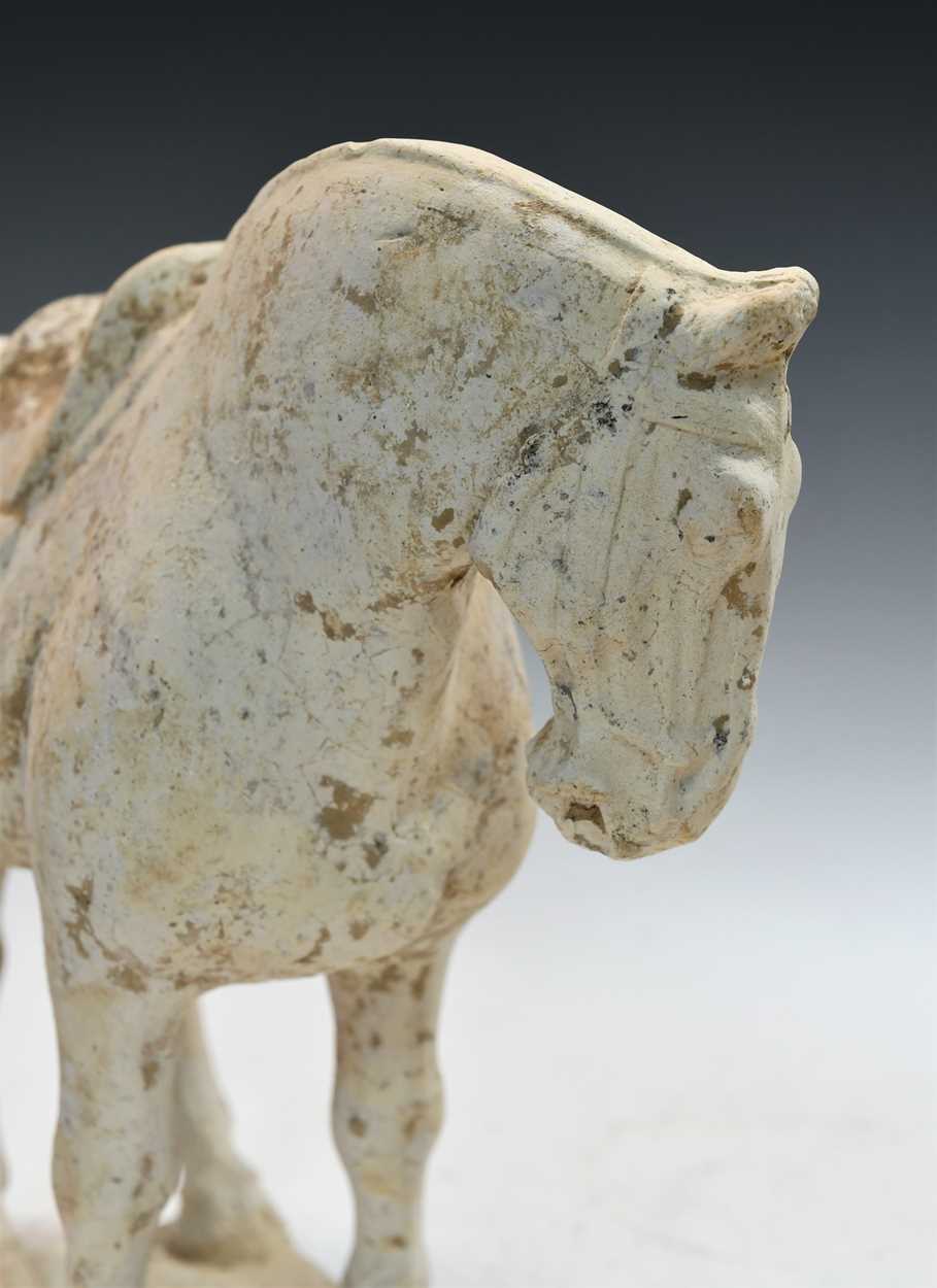 A pottery model of a standing horse, Tang Dynasty, probably late 7th to early 8th century, - Bild 7 aus 14