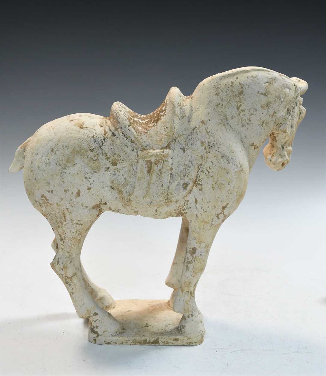 A pottery model of a standing horse, Tang Dynasty, probably late 7th to early 8th century, - Bild 5 aus 14