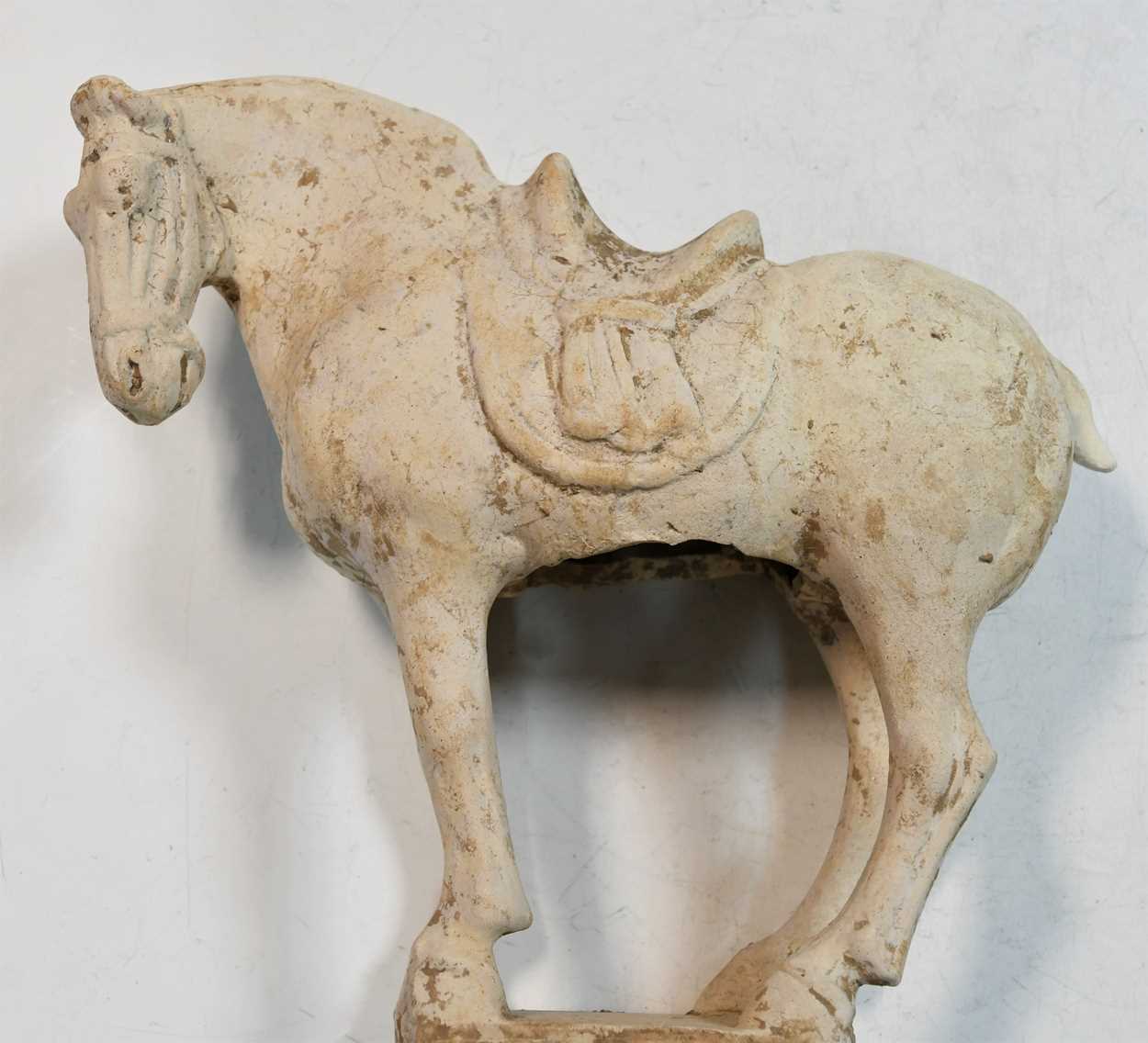 A pottery model of a standing horse, Tang Dynasty, probably late 7th to early 8th century, - Bild 10 aus 14