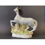 A rare 19th Century Staffordshire prancing zebra, 9" h.