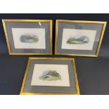 Three framed and glazed fishing related prints.