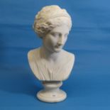 A white marble classical Bust of a Woman,  raised on a circular white marble Plinth, finely