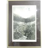 Ann Lawton, two signed etchings, "Welsh Mountainside" and "Charcuterie", framed (2)