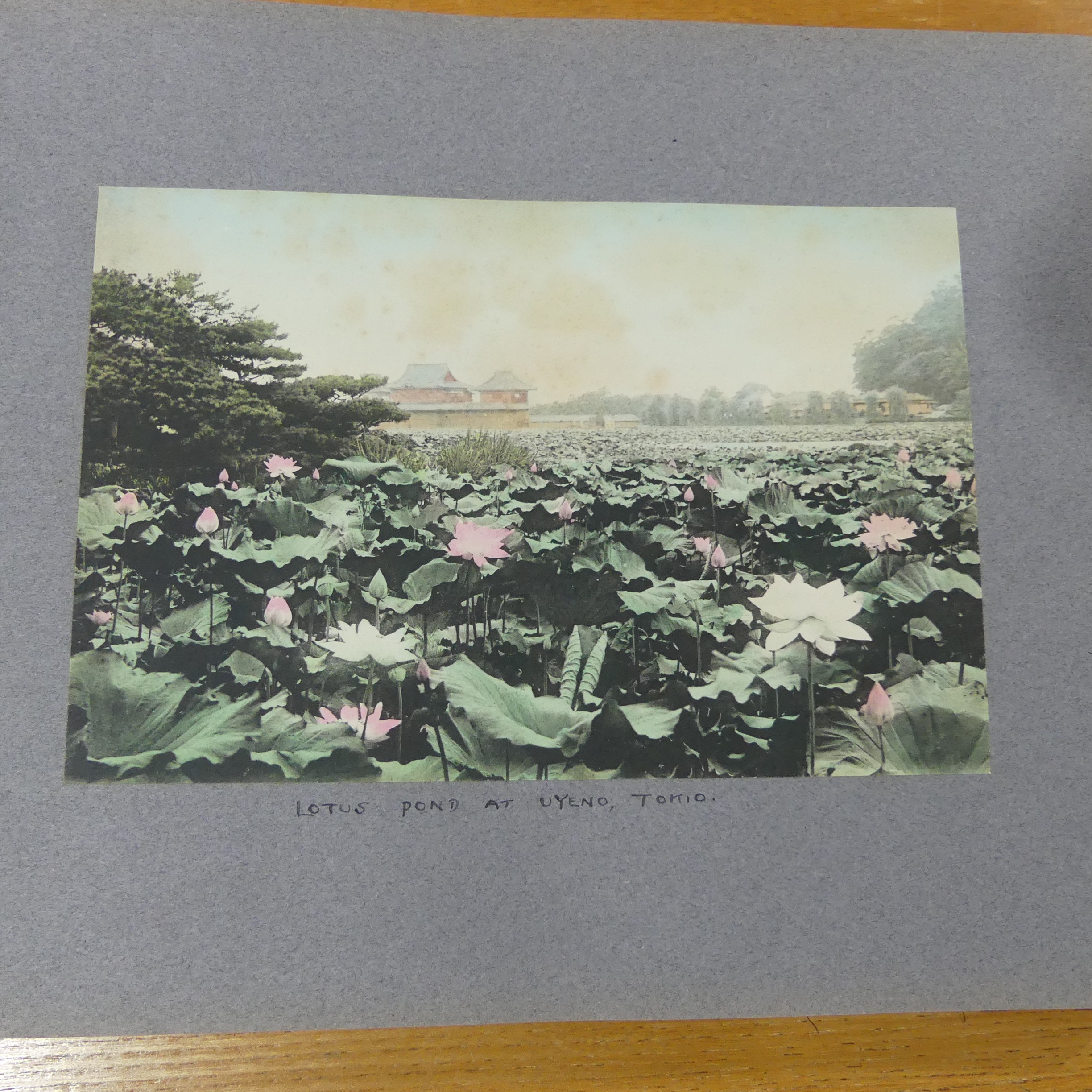 An album of early 20th century Japanese tinted photographs, depicting places, rural scenes, - Image 2 of 7