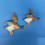 A set of two graduated Beswick Flying Ducks, modelled as mallards, factory marks to base (2)