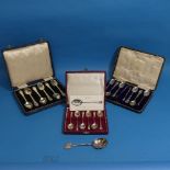 A cased set of five George V silver Teaspoons with Sugar Nips, by Mappin & Webb, hallmarked