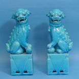 A pair of Chinese blue glazed Dogs of Foo, in azure blue, with stamp to base, H 26cm.