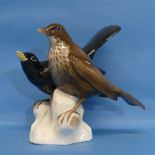 A Rosenthal porcelain Group of a Blackbird and Thrush, perched on white base, factory marks to