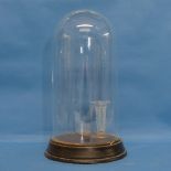 A Glass Dome with turned wood base, overall H 30cm x Diam.16cm.