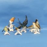 A small quantity of Karl Ens porcelain Birds, to include Blue Tit, Robin, Swallow, damaged, Sparrow,