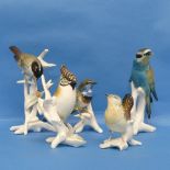 A small quantity of Karl Ens porcelain Birds, to inlcude Lapwing, Green Woodpecker, etc (5)