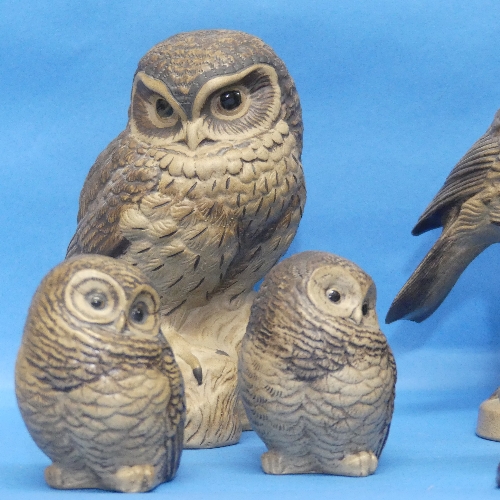 A small quantity of Poole Pottery Birds, to include two perched Owls, two smaller Owls, and three - Bild 2 aus 5