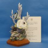 A limited edition Royal Worcester porcelain model of a Four Eyed Butterfly Fish, designed by R.Van