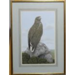 Simon Turvey (British, b.1957), Eagle perched on a rock, watercolour, signed, 34cm x 22cm,