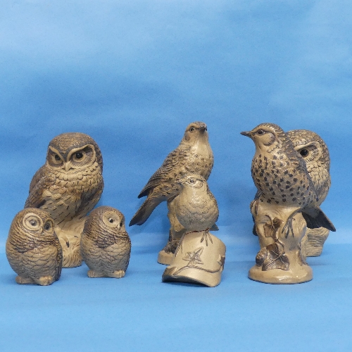 A small quantity of Poole Pottery Birds, to include two perched Owls, two smaller Owls, and three