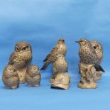 A small quantity of Poole Pottery Birds, to include two perched Owls, two smaller Owls, and three