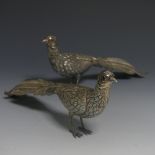 A pair of Spanish silver Pheasants, naturalistically modelled and with ruby glass eyes, each with