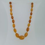 A graduated butterscotch Amber Necklace, the largest oval bead 18.5mm long, overall length 52cm,