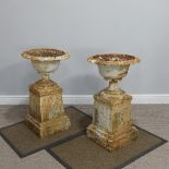 A pair of antique cast iron Garden Urns and Stands, of fluted pedestal form with stiff leaf rim,