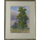 Alexander Josef Kostka (AUSTRIAN, 1879-1961), watercolour of an oak tree, signed lower left and