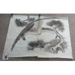 An early 20thC Japanese watercolour picture of a pair of pheasants, painted over four sheets of