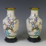A pair of Japanese cloisonne Baluster Vases, decorated with birds and floral sprays on white ground,